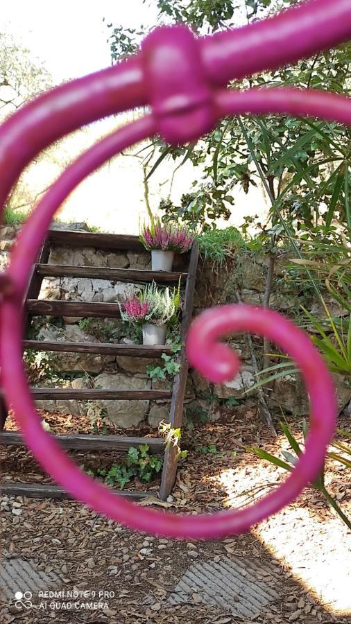 La Casina Di Iris Arezzo