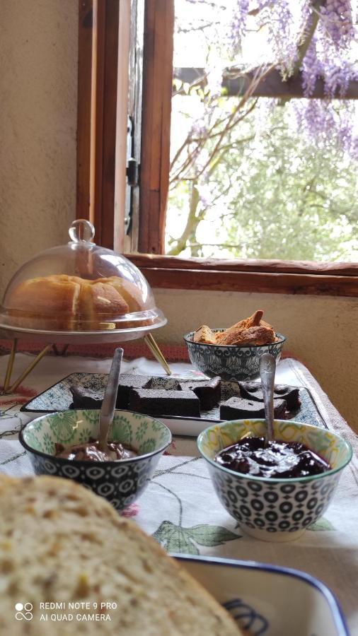 Bed & Breakfast La Casina Di Iris Arezzo