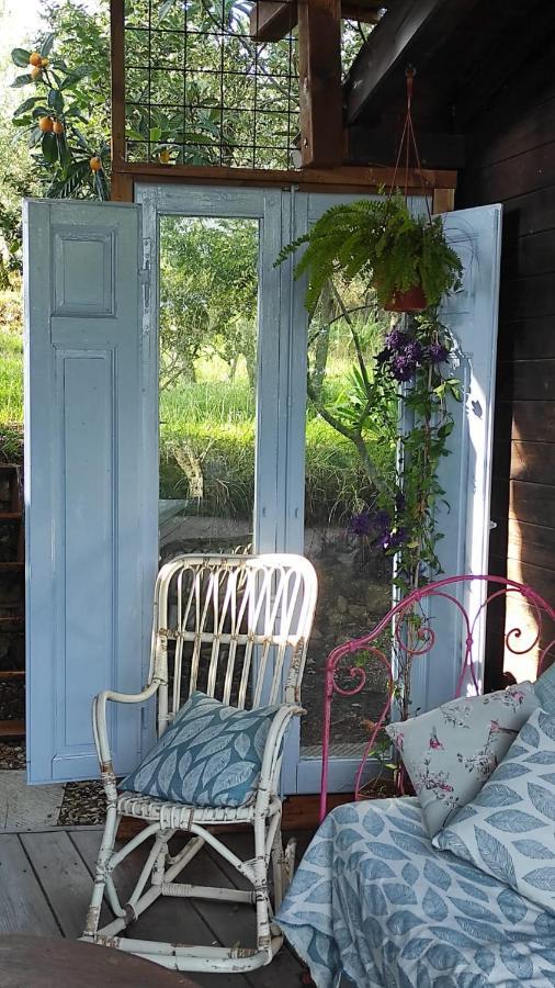 La Casina Di Iris Bed & Breakfast Arezzo