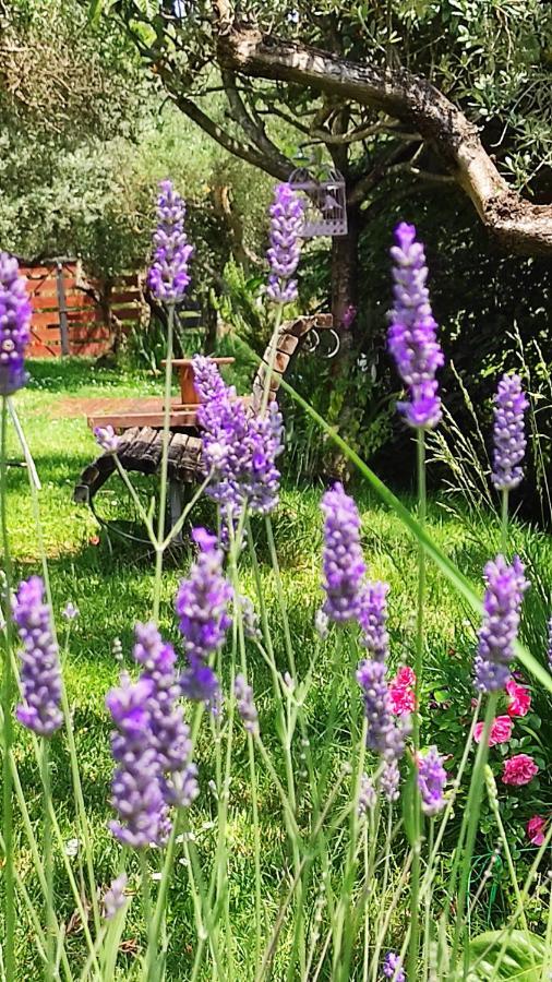 La Casina Di Iris Bed & Breakfast